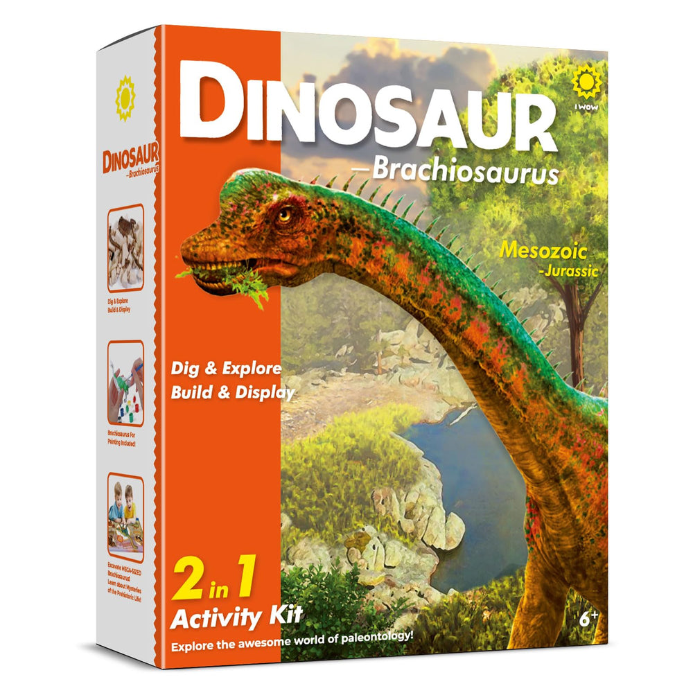 Eggbox Brachiosaurus display model is ready for shelves and science corners.