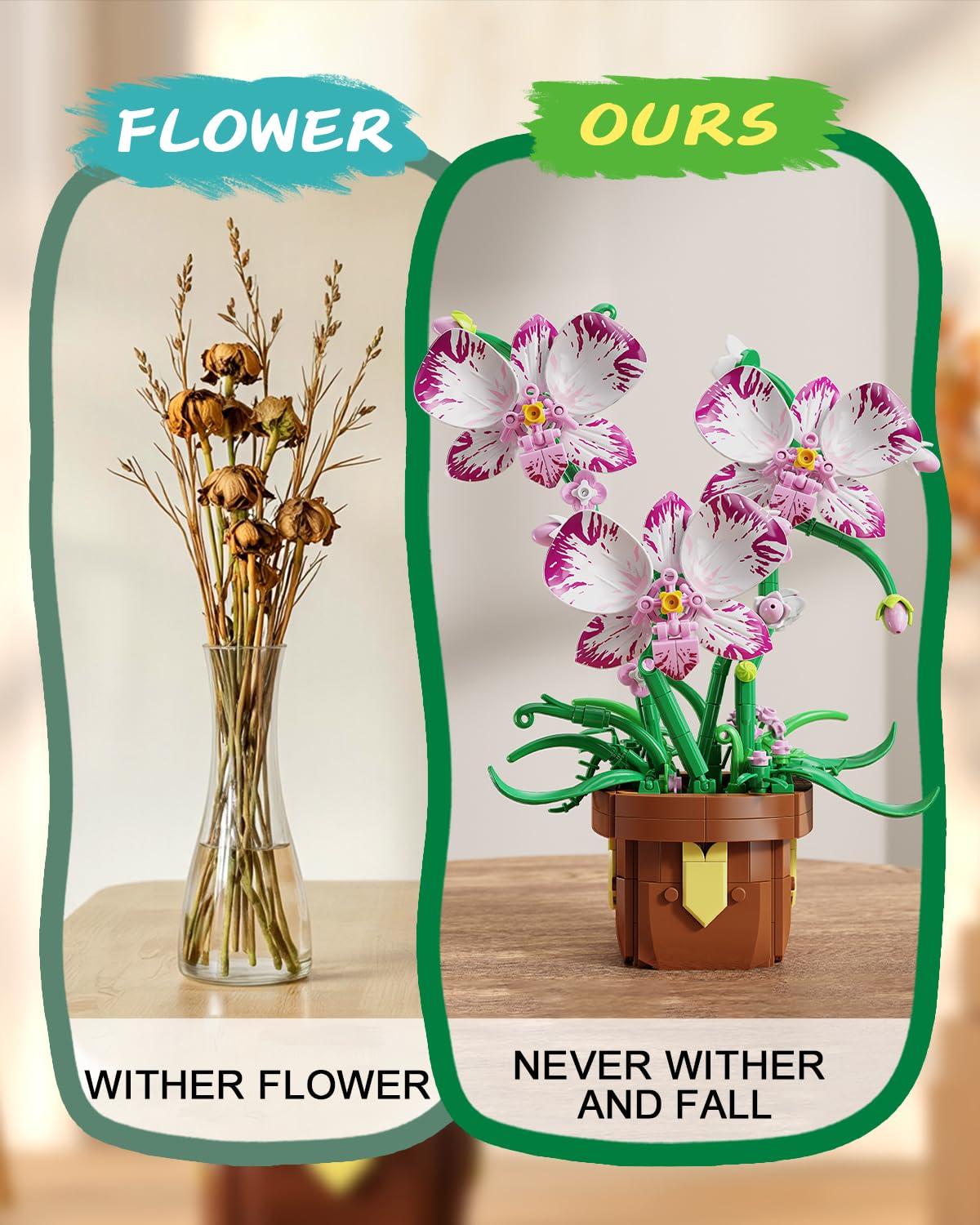 EITOLNR Orchid close-up petals highlights premium materials and craftsmanship.