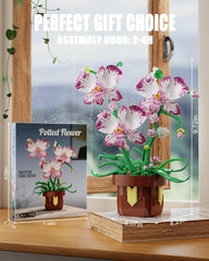 EITOLNR Orchid gift-ready packaging suggests a thoughtful present idea.