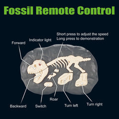 EKU EASYKU RC dinosaur walking action—engaging kids in active play.