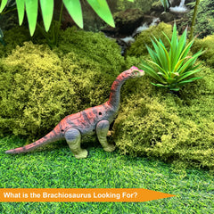 EKU EasyKU Styracosaurus detailed paint enhances realistic pretend play