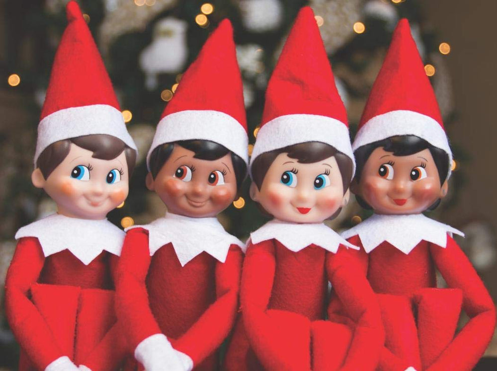 The Elf on the Shelf Elf Story DVD for cozy family movie nights