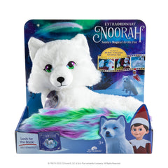 Extraordinary Noorah book cover inspiring storytelling and bedtime adventures