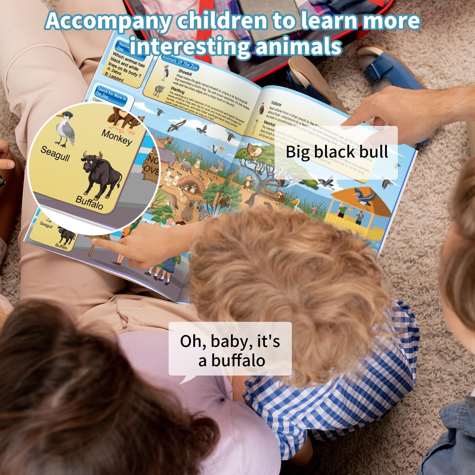 Elfew animal explanations provide four facts per page for curiosity