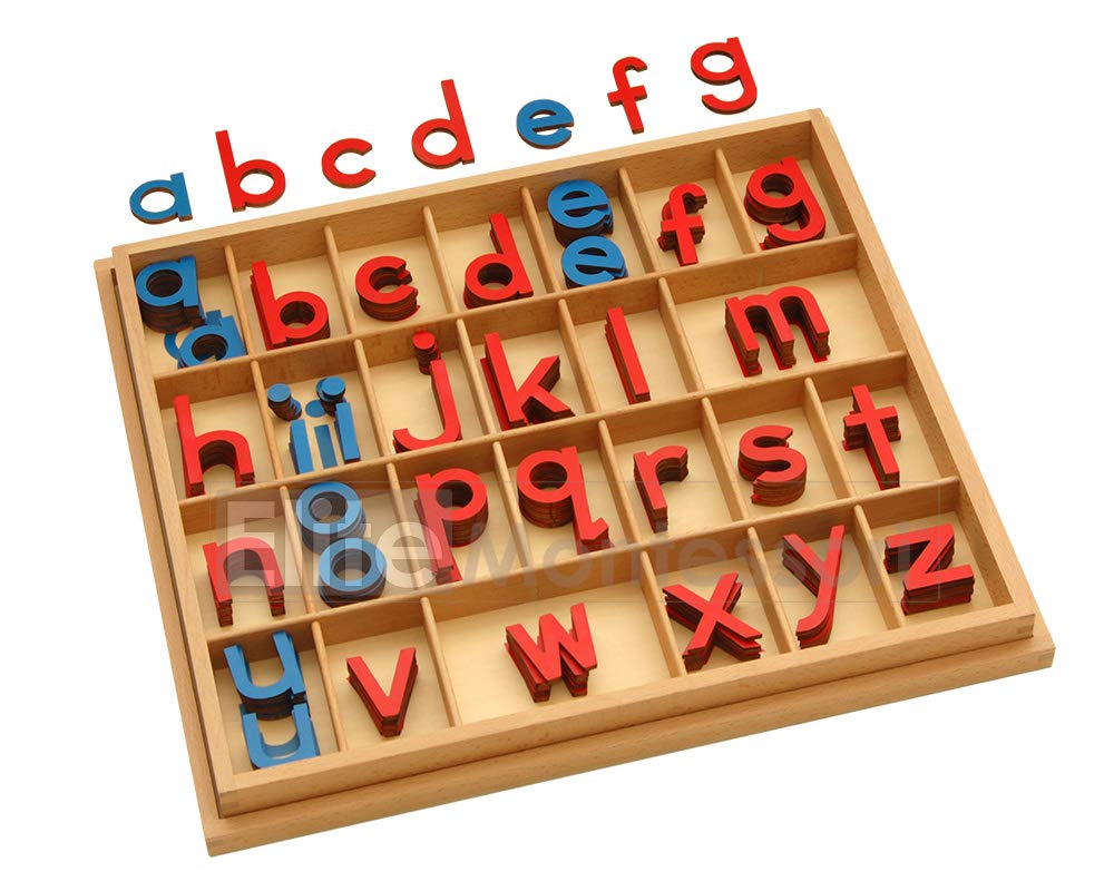 Elite Montessori movable alphabet with box, red and blue tiles for early word building.