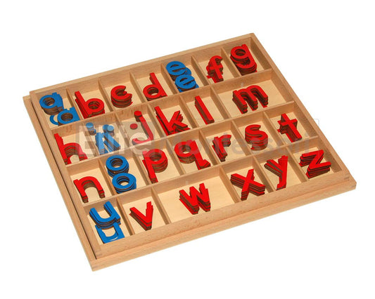Elite Montessori movable alphabet pieces designed for hands-on spelling practice.