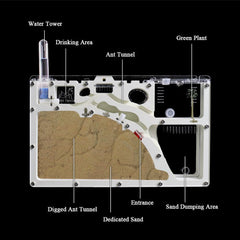 ELNMLHT ant farm accessory pack enhances setup and care.