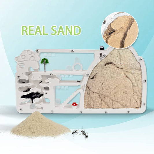 ELNMLHT ant farm castle with multi‑area layout for easy ant care and study.
