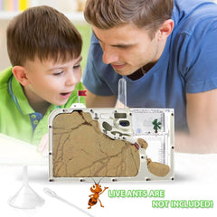 ELNMLHT magnifier and tweezers set for careful observation.
