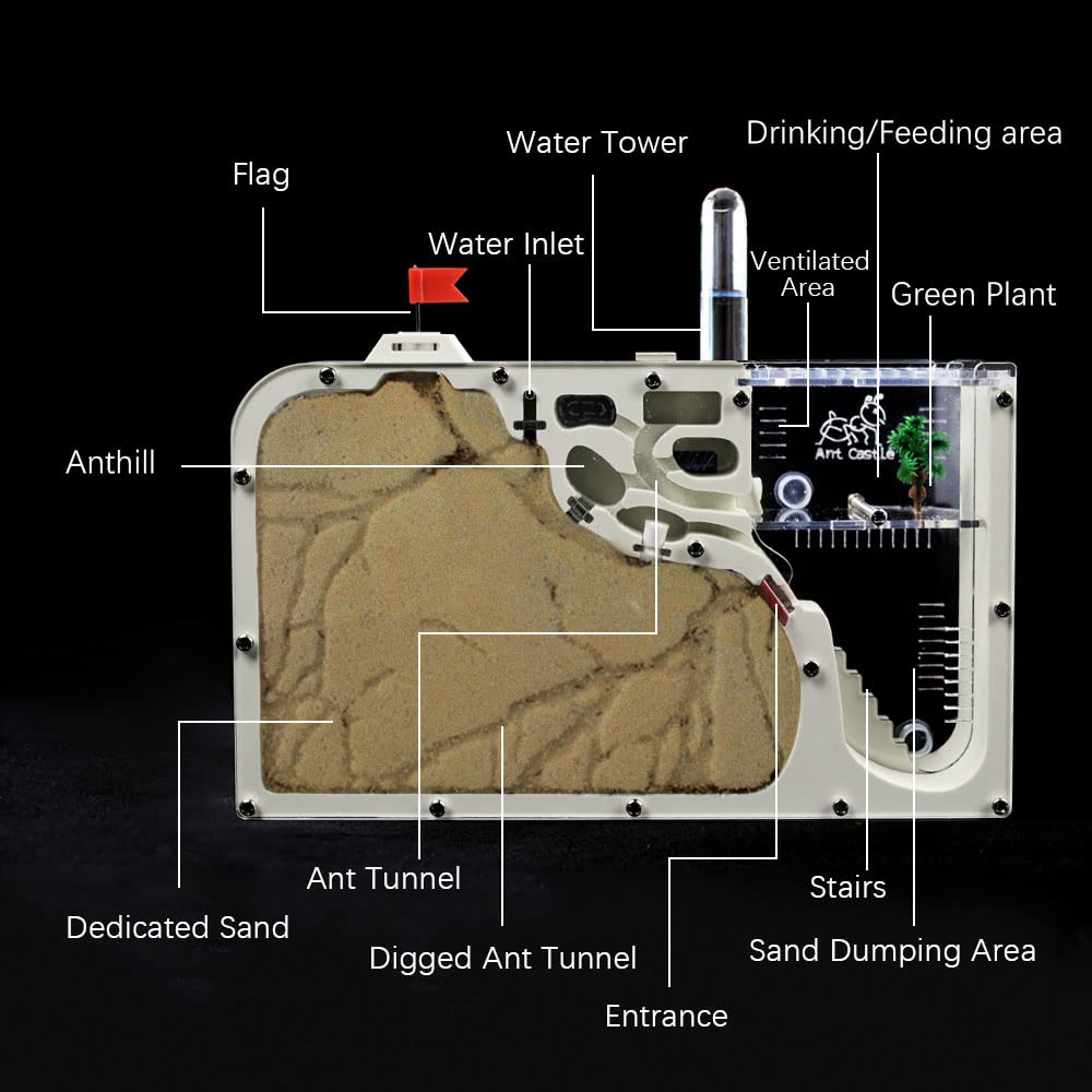 ELNMLHT ant farm sand pack supports natural digging.
