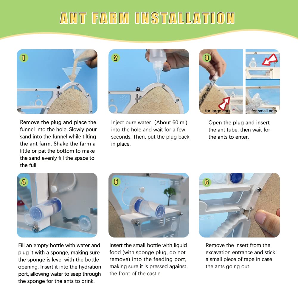 ELNMLHT ant farm tool kit contents for setup and ongoing care.