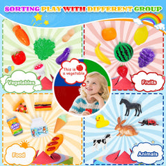 Enjoyjoy sorting activity scene encouraging observation and categorization