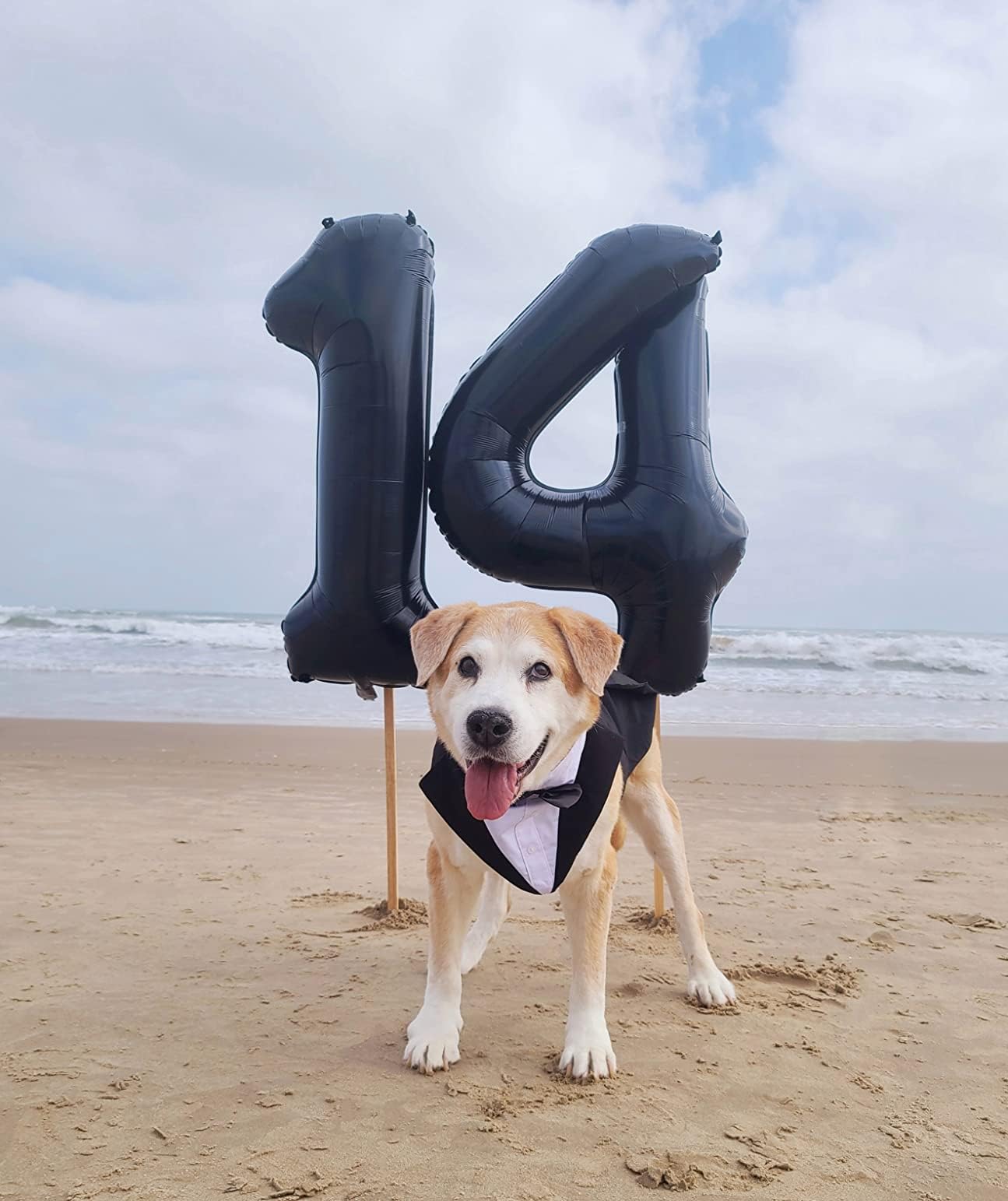 Enyeopd 40-inch number balloons arranged creatively to form a centerpiece.