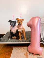 Enyeopd pearl pink 10 balloon arrangement creates photo-worthy setups.