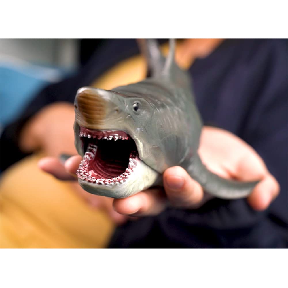 EOIVSH Ocean education model for classroom and home display