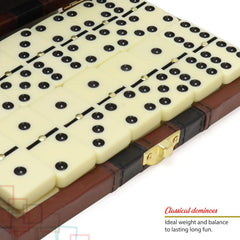 ERLLE classroom-friendly dominoes activity for group learning.