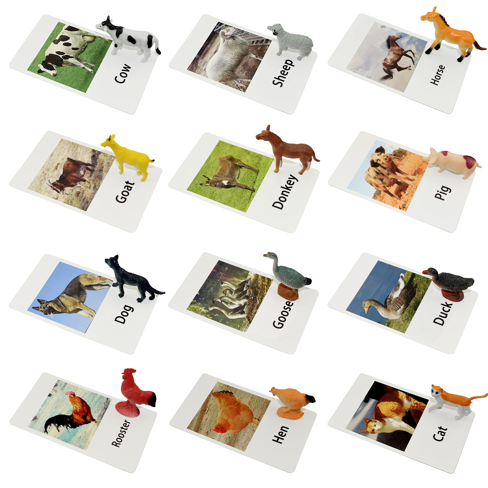 Esoes Montessori animal figures with flash cards for early language learning