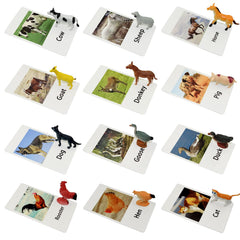 Esoes Montessori animal figures with flash cards for early language learning