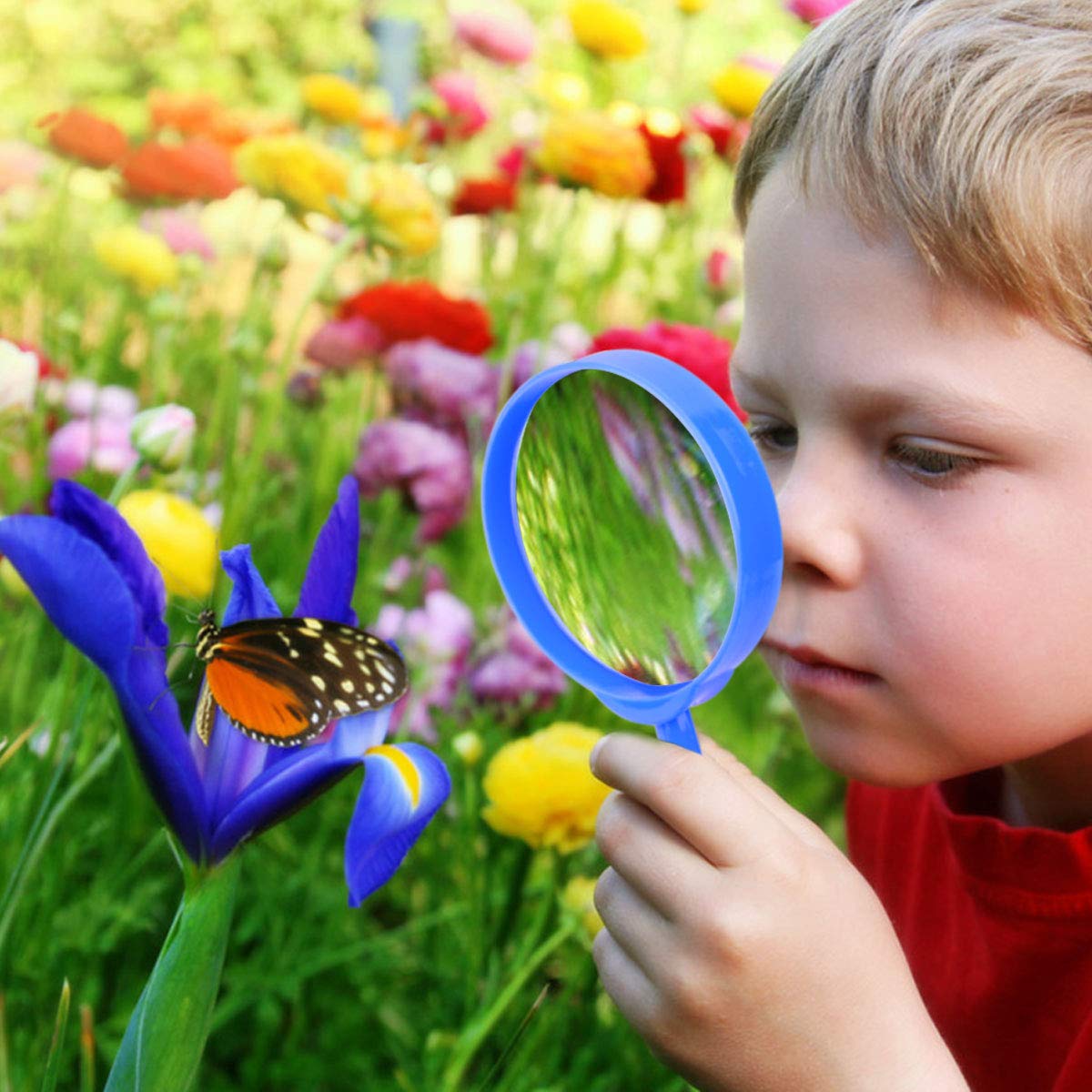 Essenson critter case safely stores found critters for backyard science play.