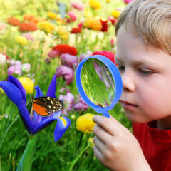 Essenson critter case safely stores found critters for backyard science play.