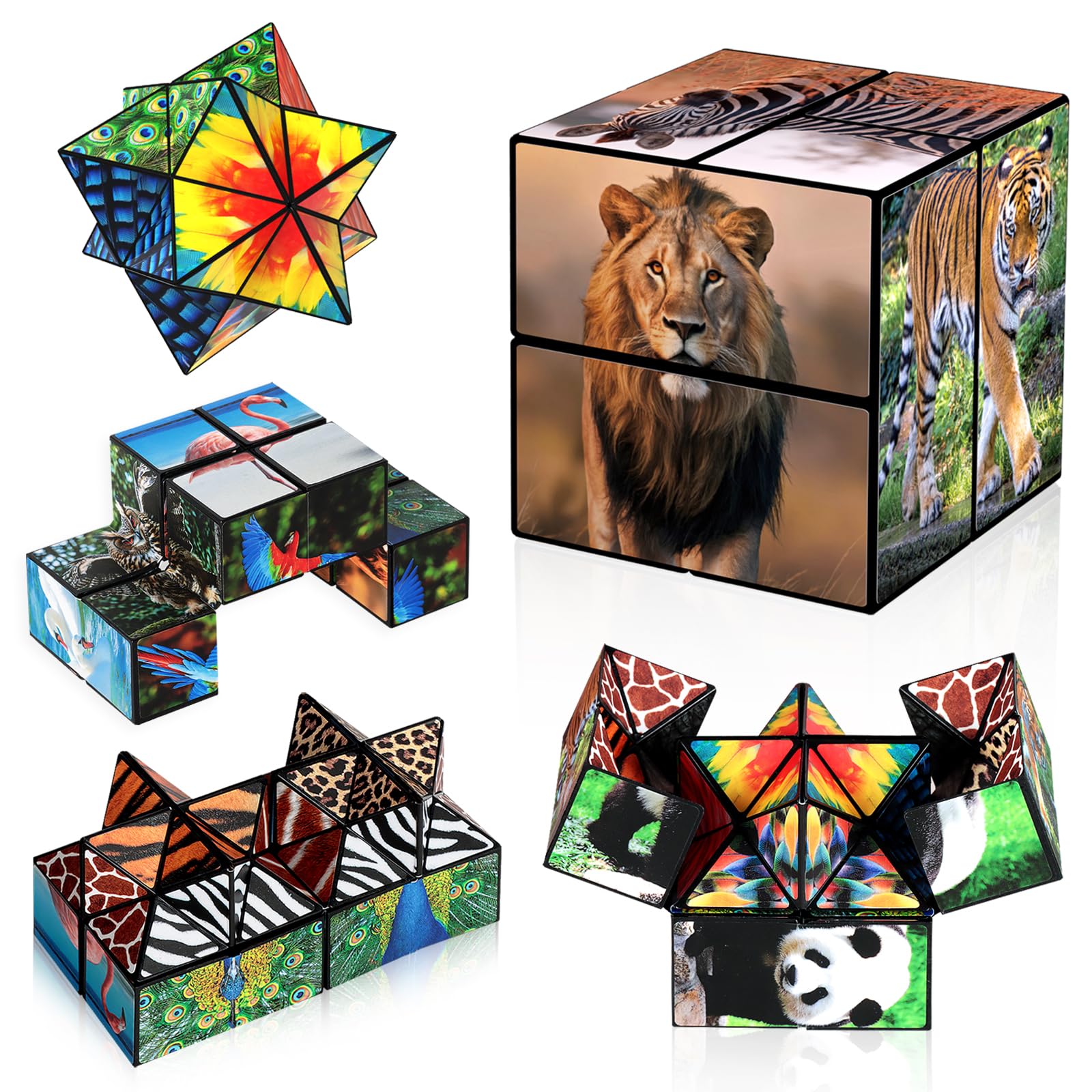 Euclidean Cube 2-in-1 star cube with vivid patterns for focus and creative play.