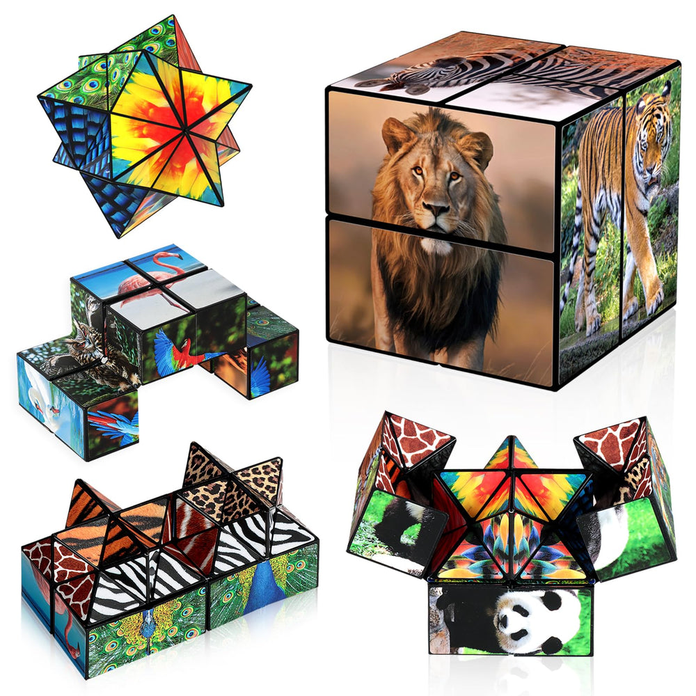 Euclidean Cube 2-in-1 star cube with vivid patterns for focus and creative play.