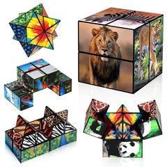 Euclidean Cube 2-in-1 star cube with vivid patterns for focus and creative play.