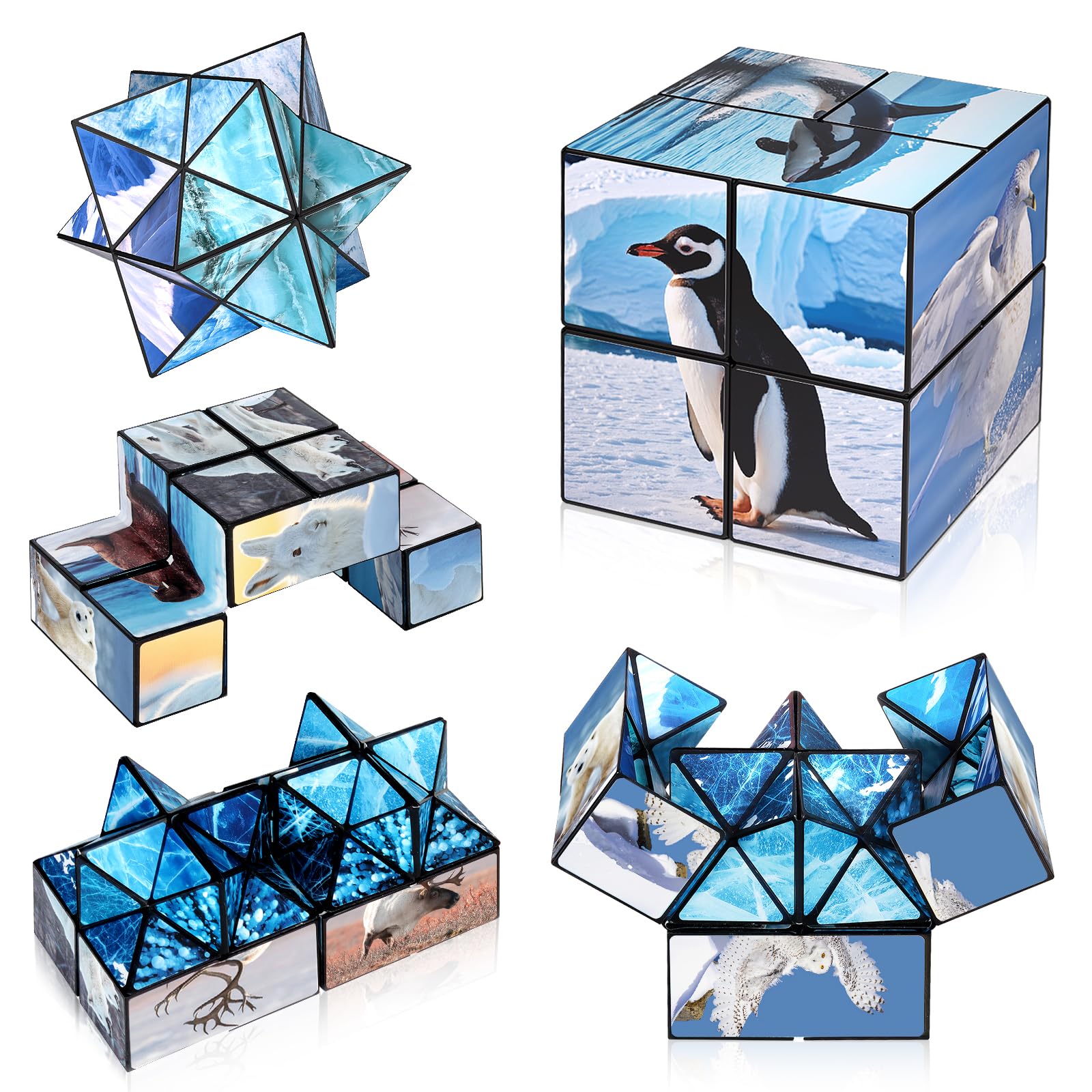 Euclidean Cube polar animals side a with animal designs for hands-on learning