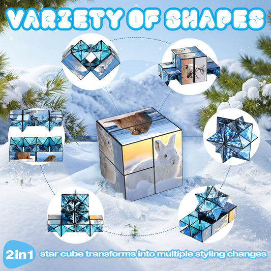 Euclidean Cube polar animals side b with supplemental animal artwork for tactile engagement