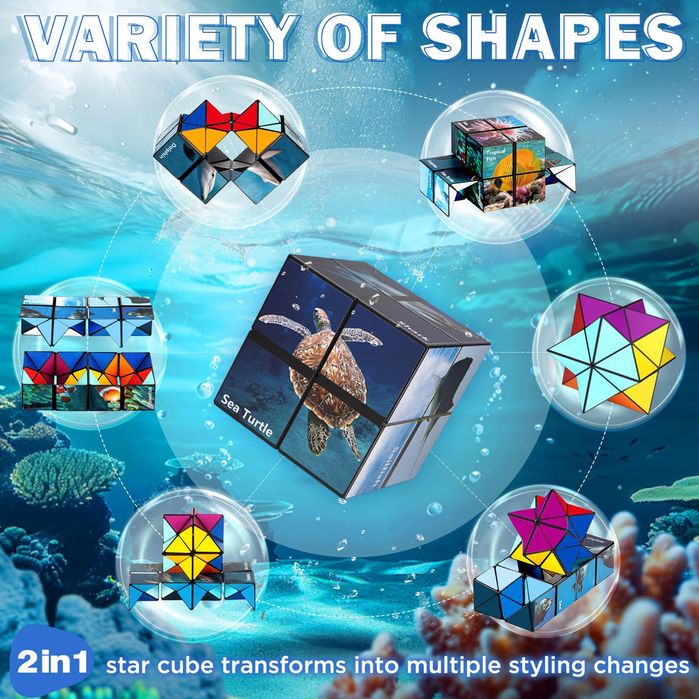 Euclidean Cube Star Cube divided into two pieces for collaborative play