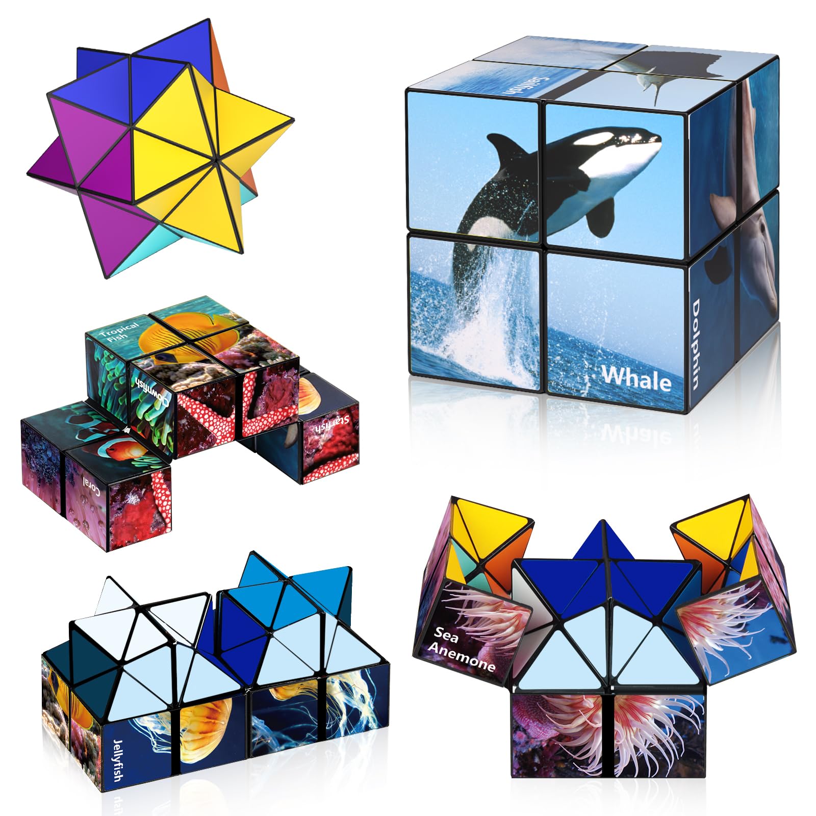 Euclidean Cube Star Cube front view showing portable design