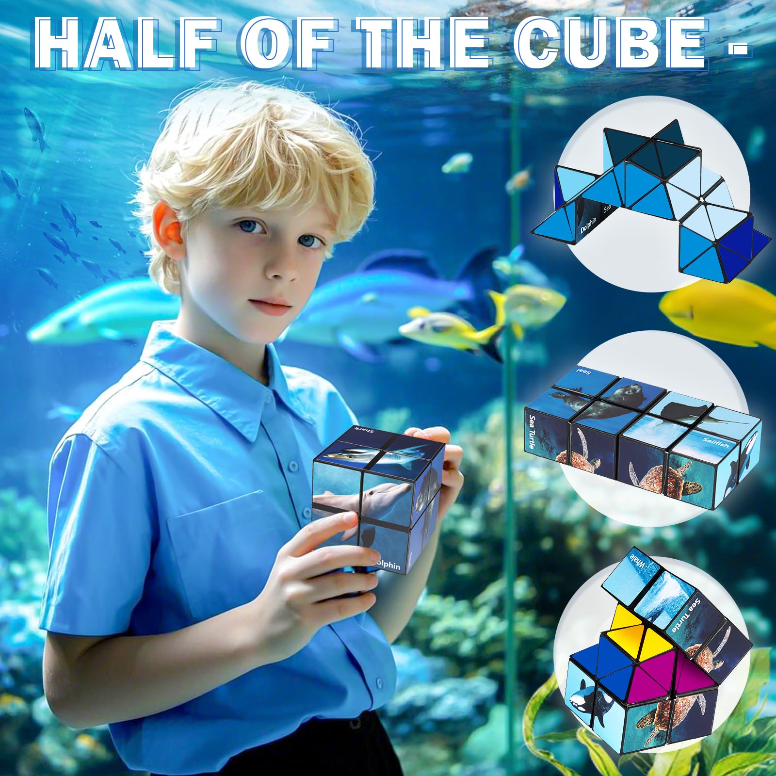 Euclidean Cube Star Cube marine stickers close-up sparks curiosity about ocean life