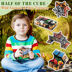 Euclidean Cube star shape textures inspire exploration and hands-on problem solving.