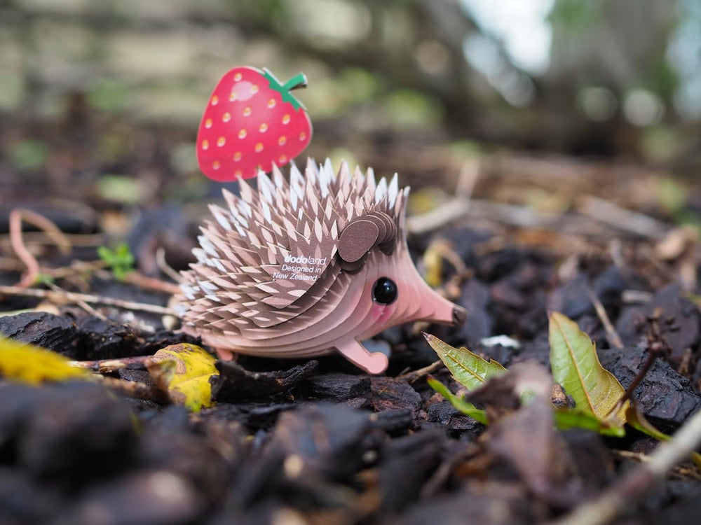EUGY Hedgehog completed display, charming desk buddy.