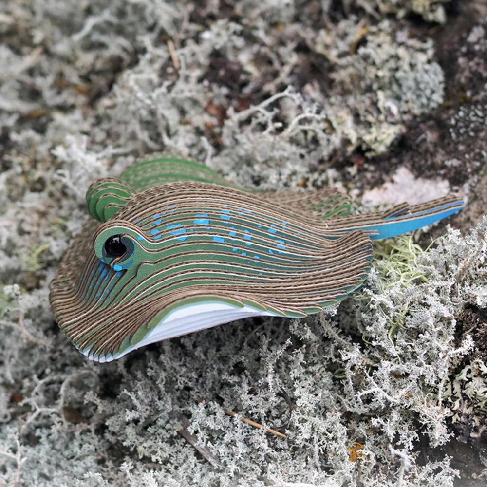 EUGY Stingray completed model on display inspires wildlife conversations