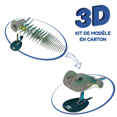 EUGY Stingray eco-friendly cardboard materials support safe crafting