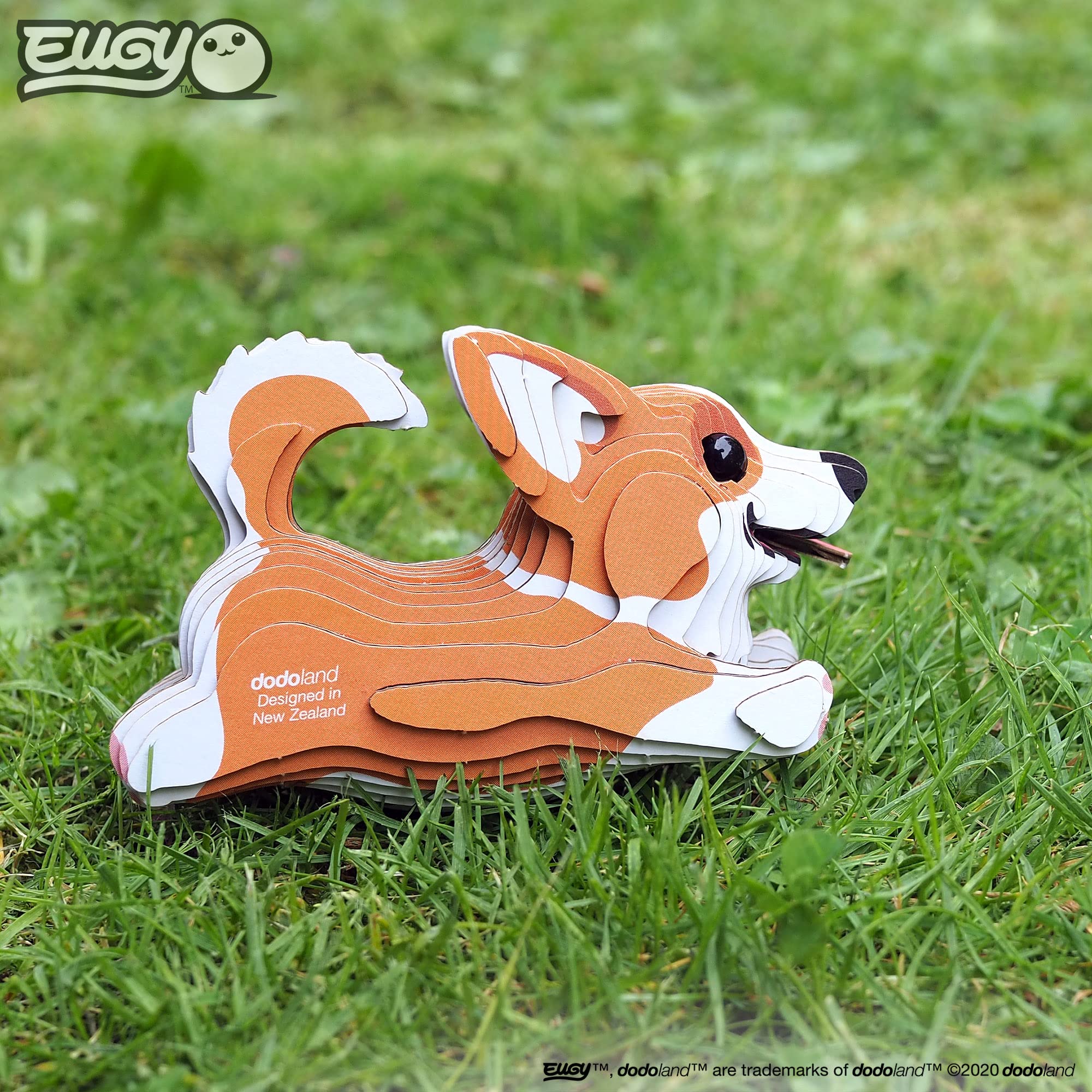 Welsh Corgi fun facts support curious learning during play.