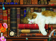 EuroGraphics The Cat Nap puzzle box view highlighting compact packaging and durable blue board