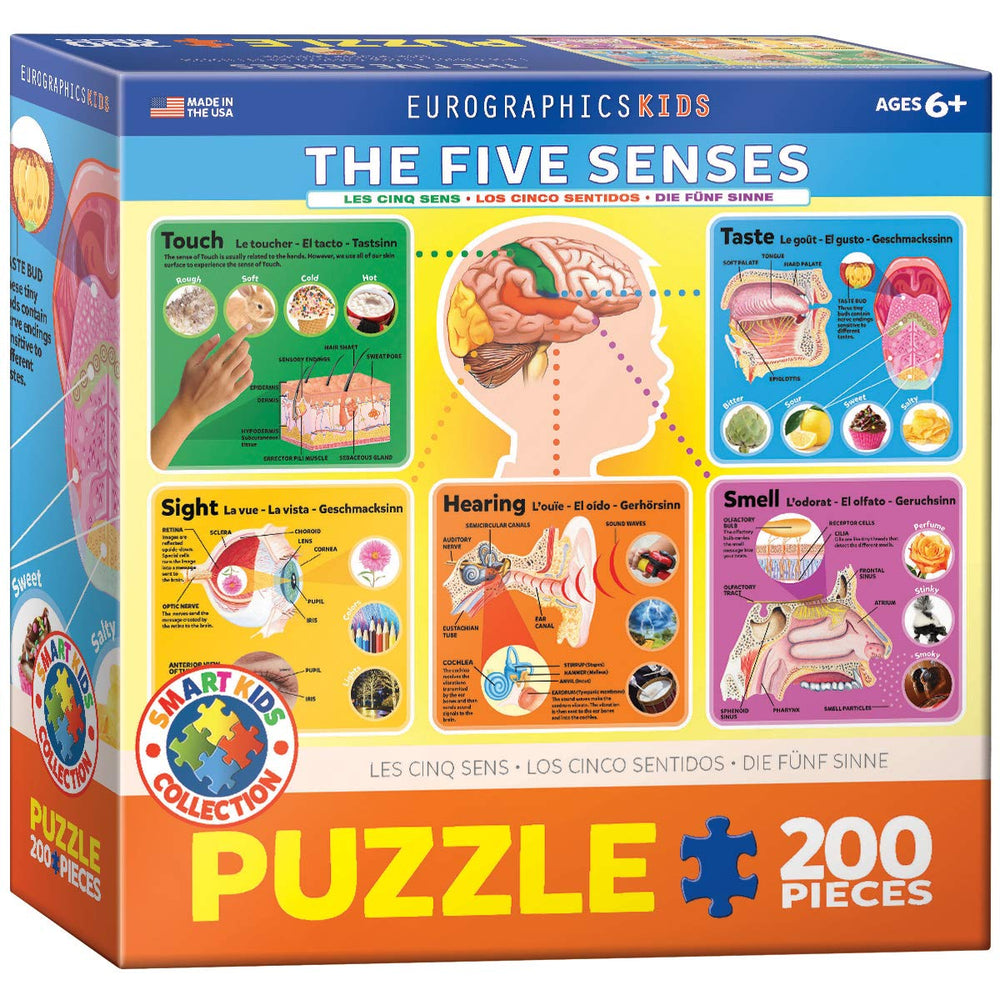 EuroGraphics Five Senses puzzle cover with brain connections; educational and engaging.