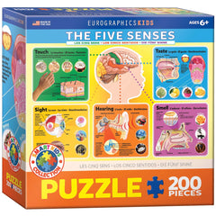 EuroGraphics Five Senses puzzle cover with brain connections; educational and engaging.