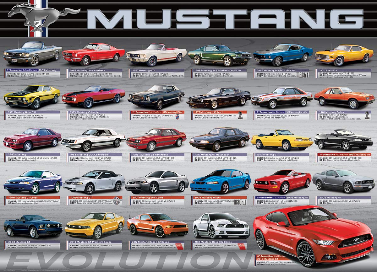 EuroGraphics Ford Mustang Evolution puzzle pieces laid out, showing strong interlocking design for easy assembly.
