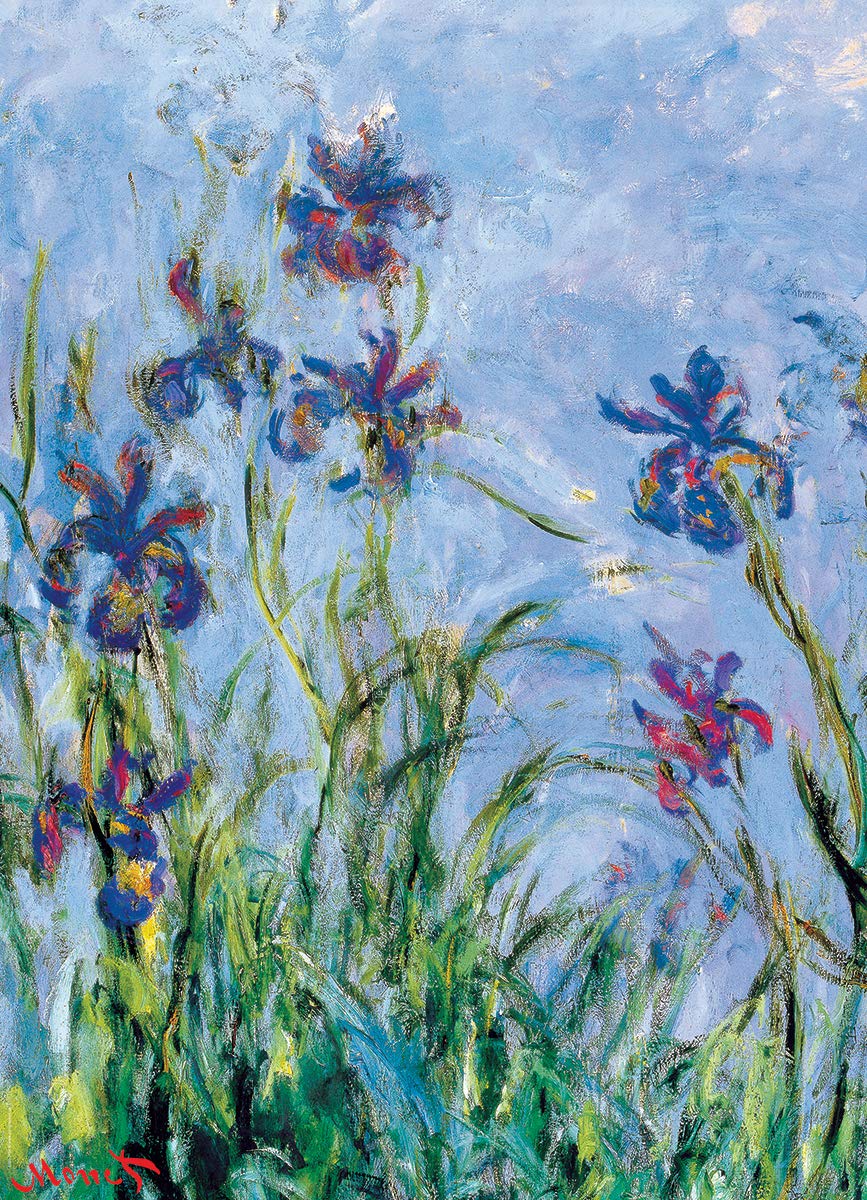EuroGraphics Irises Monet finished puzzle size displayed for framing after completion