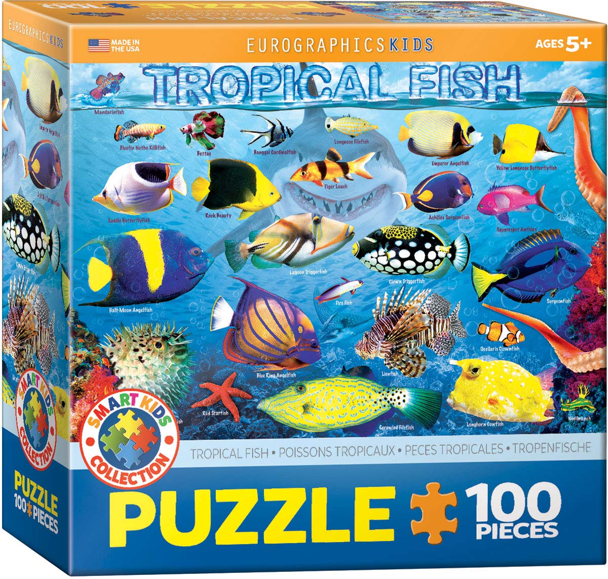 EuroGraphics Tropical Fish 100-Piece Puzzle box shows durable, colorful ocean scene.