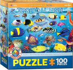 EuroGraphics Tropical Fish 100-Piece Puzzle box shows durable, colorful ocean scene.