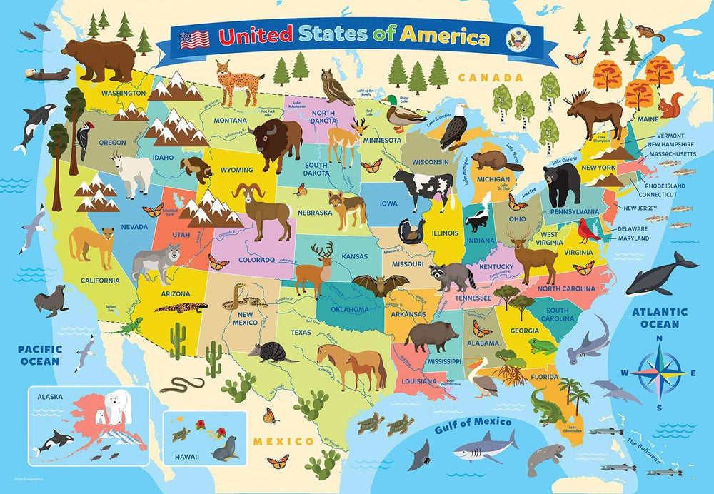 EuroGraphics US map box dimensions 8x8x2-37 for compact shelf storage.