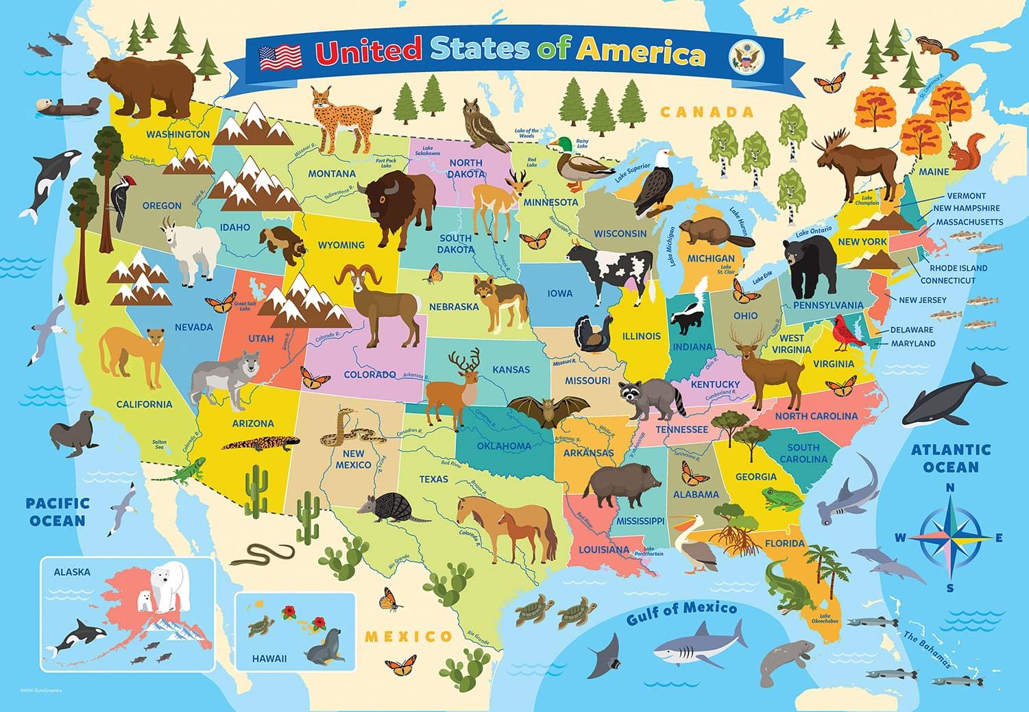 EuroGraphics US map box dimensions 8x8x2-37 for compact shelf storage.