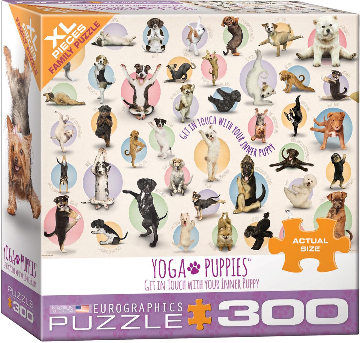 EuroGraphics Yoga Puppies 300pc puzzle — vibrant image of puppies in yoga poses for family fun.