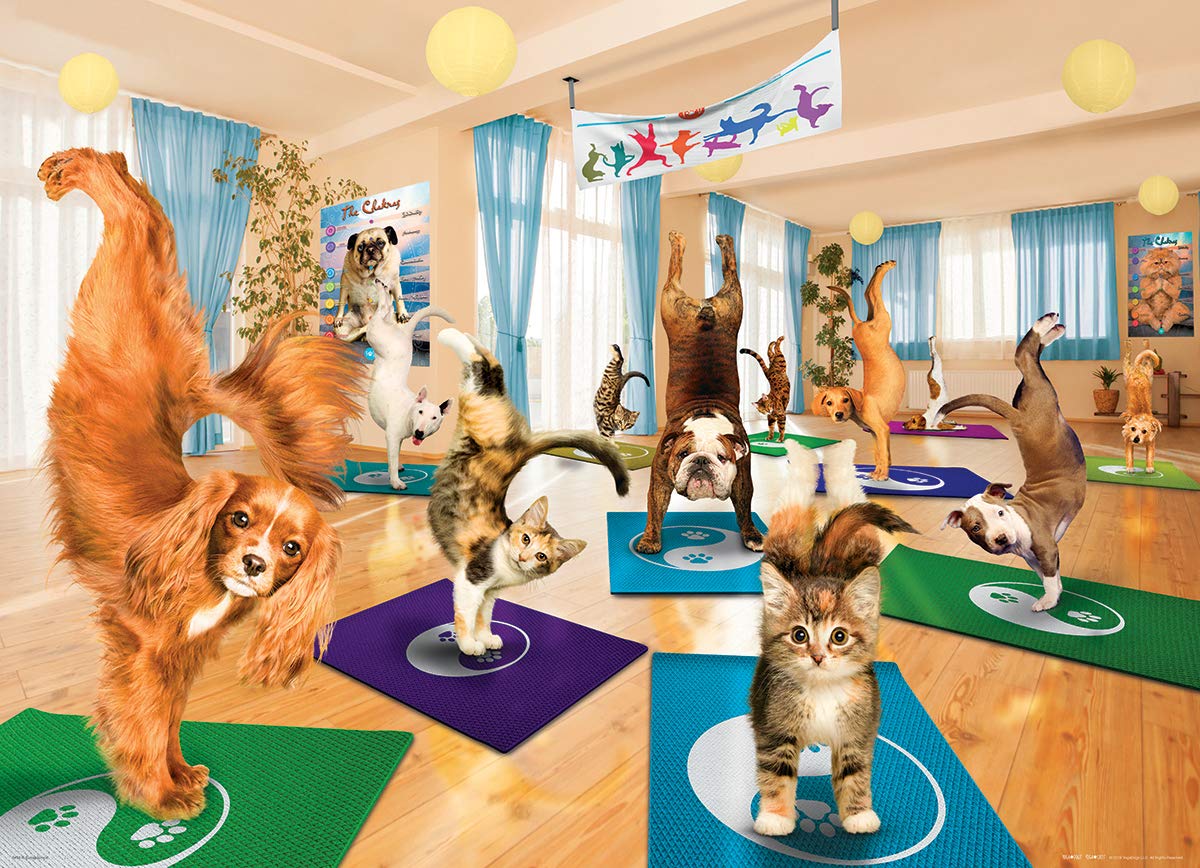 EuroGraphics Yoga Studio finished puzzle size laid out for display during breaks.