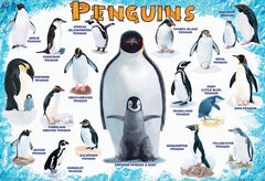 EuroGraphics penguins 100-piece puzzle finished size 13x19 inches with clear imagery.