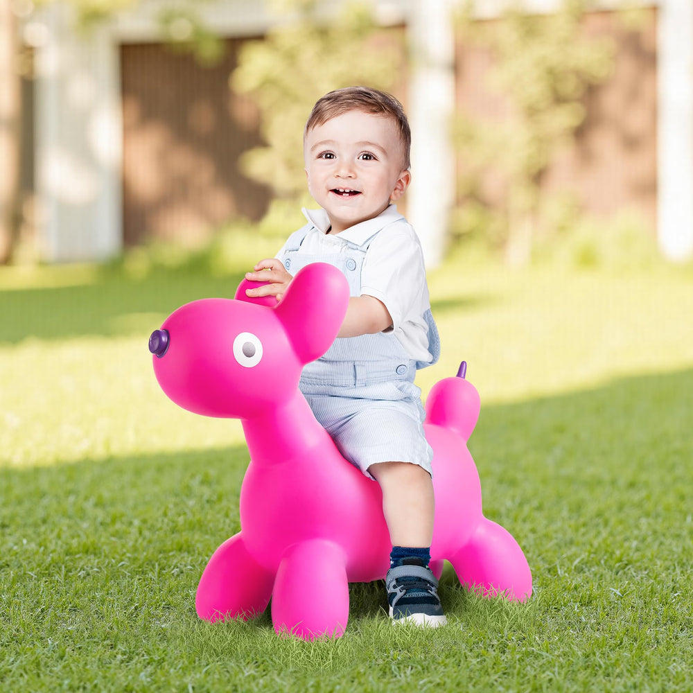 EVERICH TOY hopper safety label, notes weight limit up to 100 kg.